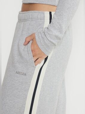 Aritzia Light Gray Joggers with Navy and White Side Stripes